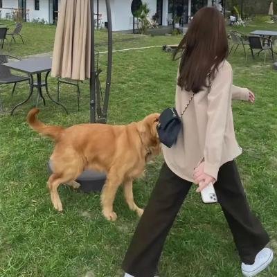 小姑娘艾萝依