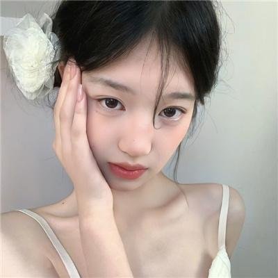 海狸